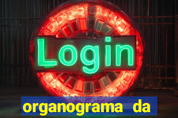 organograma da cacau show
